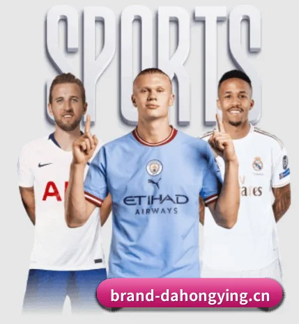 大红鹰dhy APP